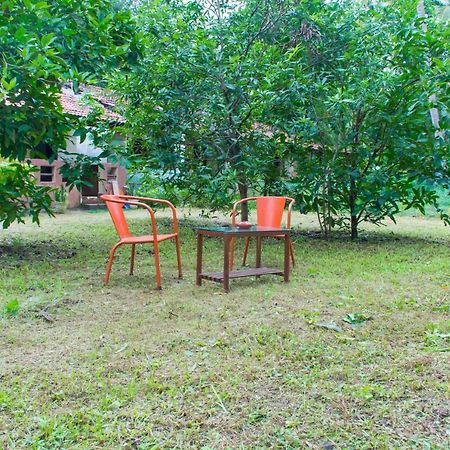 Raikar Guest House Bogmalo Beach Exterior foto