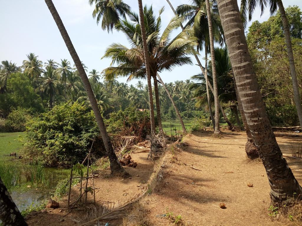 Raikar Guest House Bogmalo Beach Exterior foto