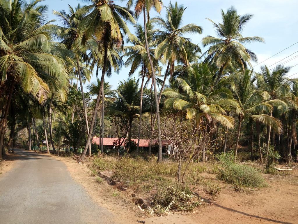Raikar Guest House Bogmalo Beach Exterior foto
